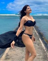 VIP Celebrities escort in Goa